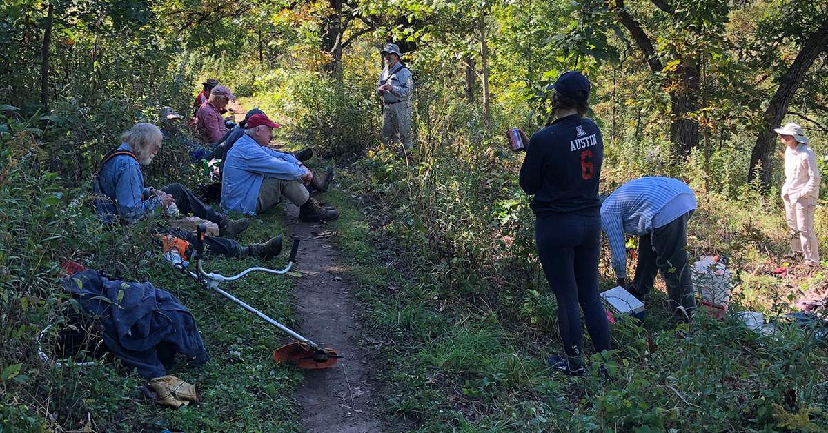 Land Stewardship: Savanna Restoration, Springfield Hill – Dane County Chapter