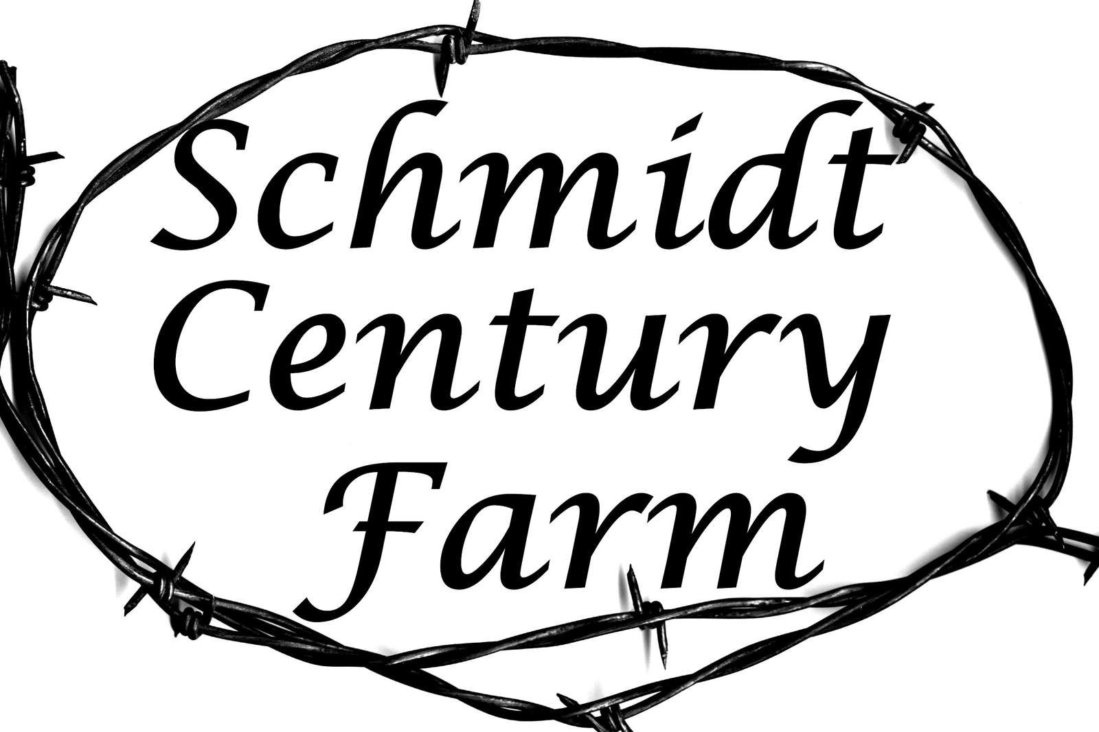 Schmidt Century Farm — photo 1