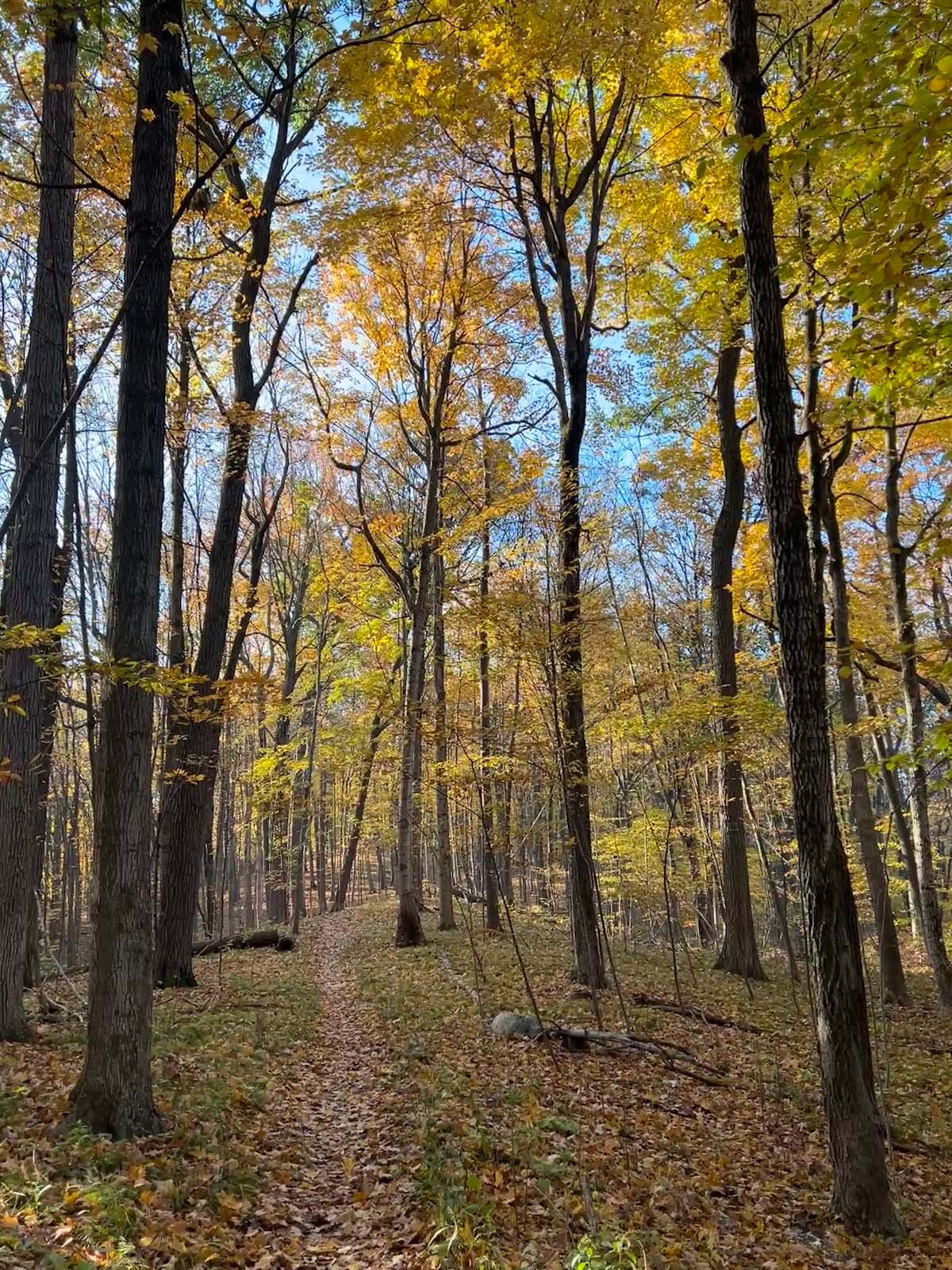 Ice Age Trail - West Bend Segment — photo 2