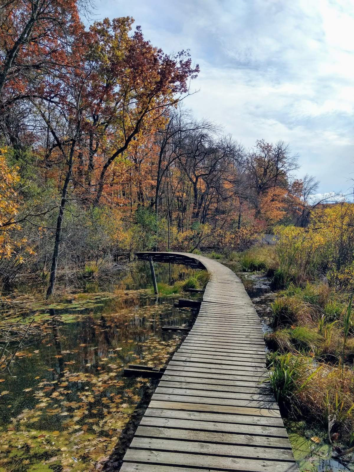 Ridge Run Park East — photo 1