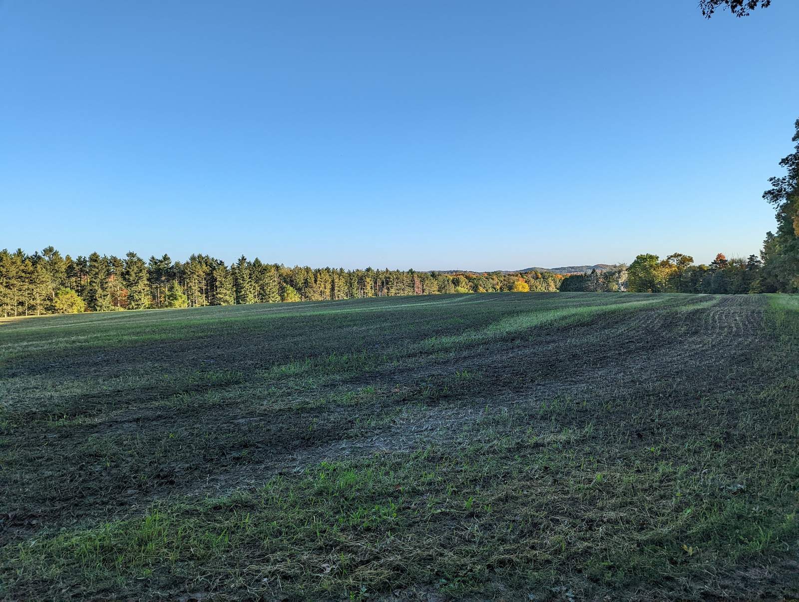 CLCF's Rudorf Farm — photo 1