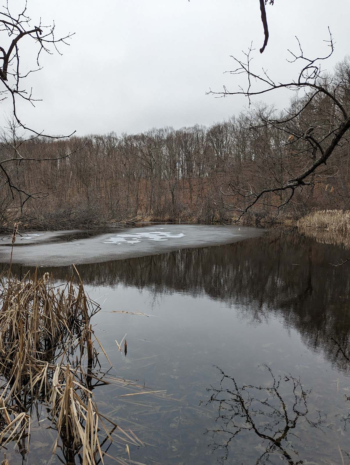 West Bend IAT Segment Trailhead — photo 4