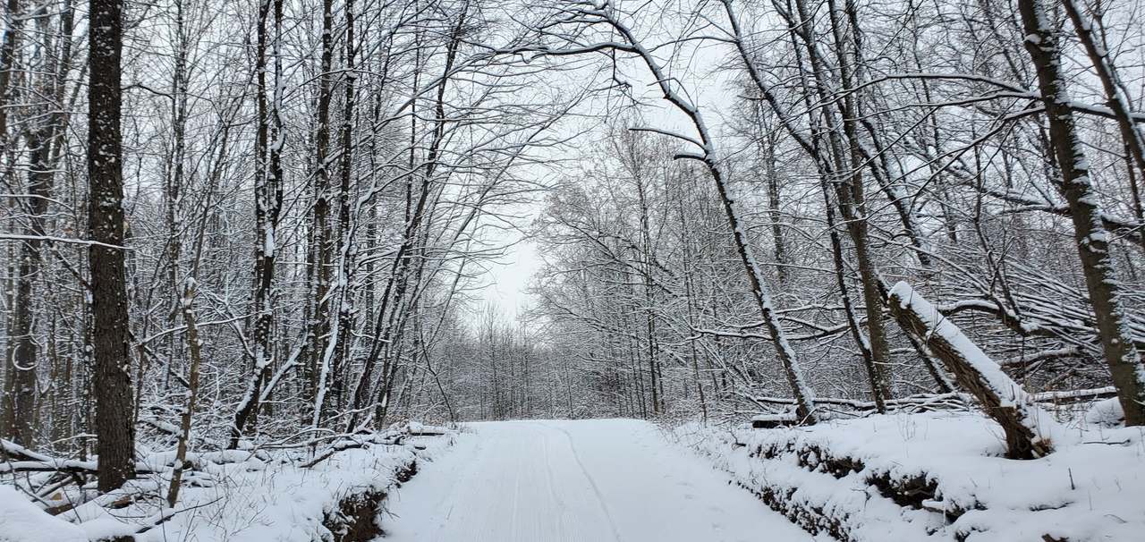 Fox Hill Nature Preserve - Nordic Trails — photo 4