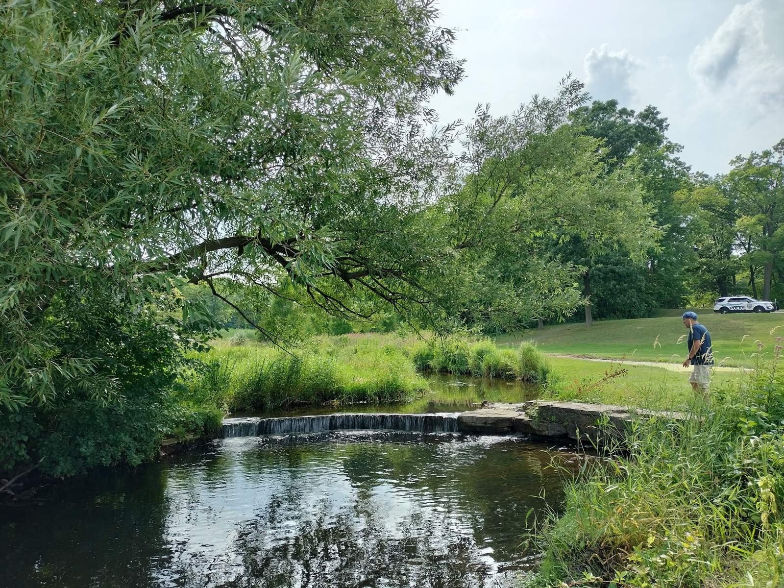 Regner Beach/Swim Pond — photo 4