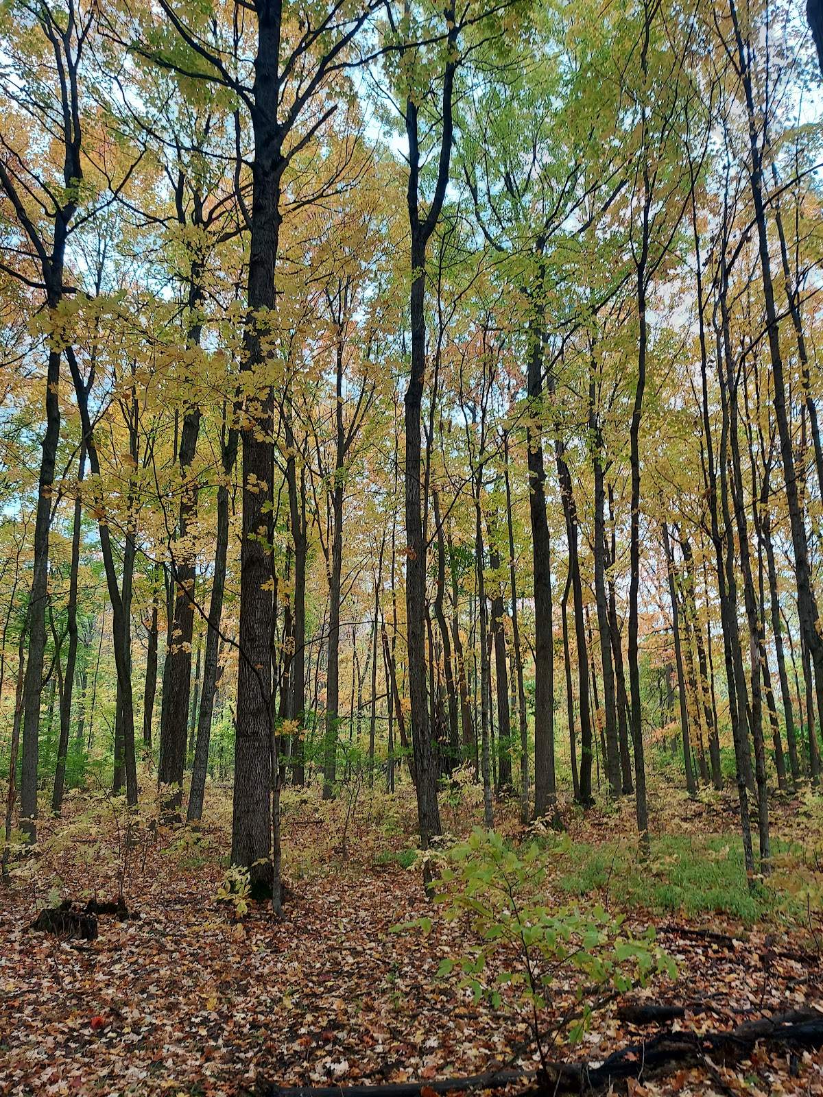 Gregg Preserve — photo 1