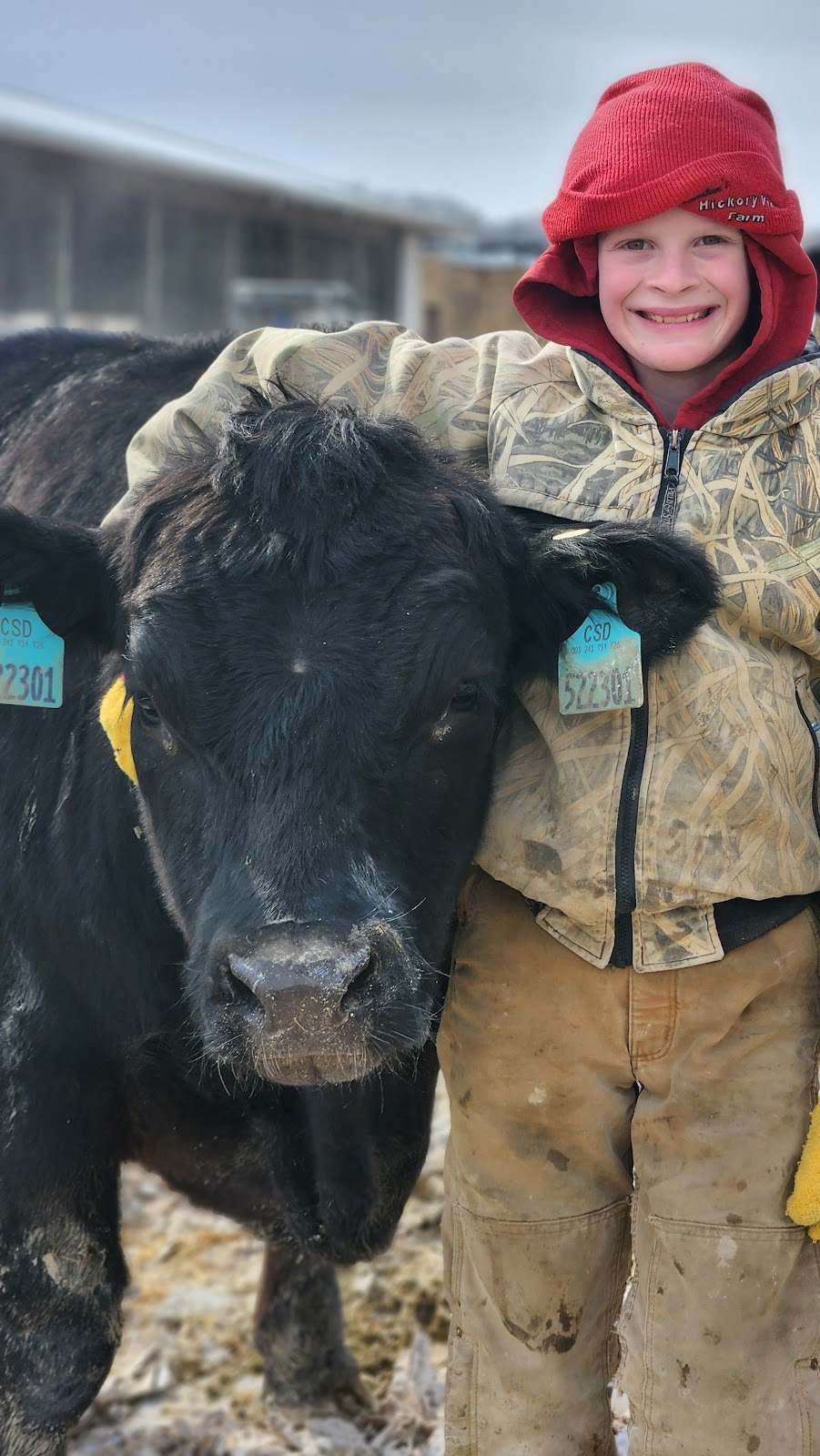 Ramthuns Hickory View Farm — photo 4